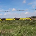 Wattkieker * ビューズム
